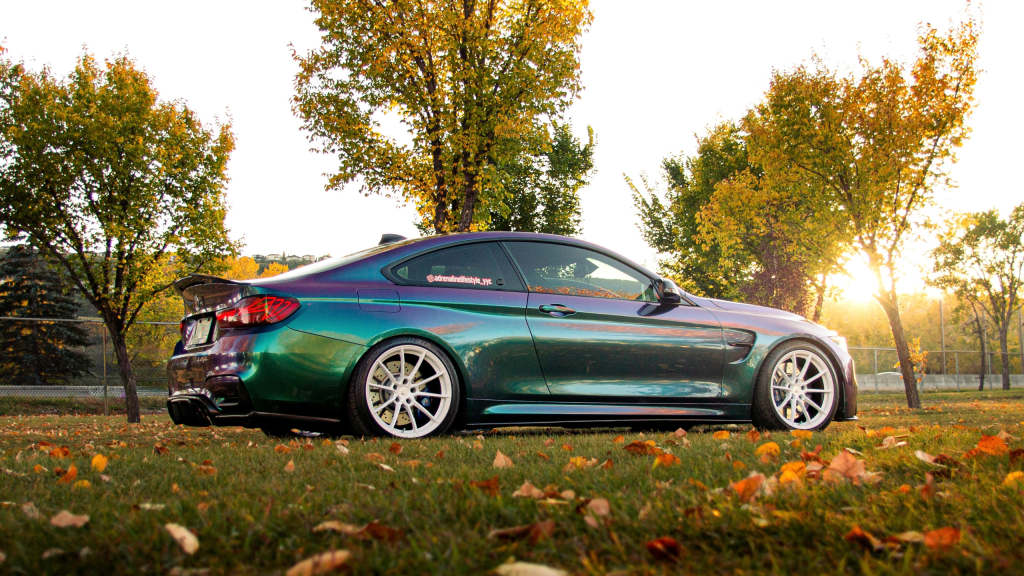 untitled design (15)