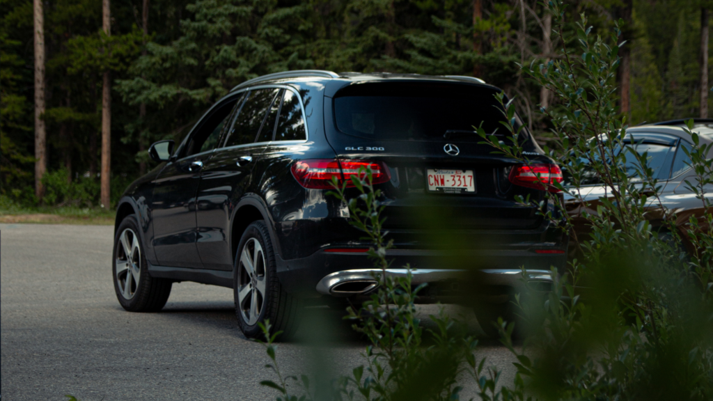 untitled design (17)